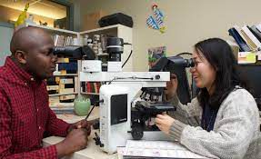 Odoo image and text block