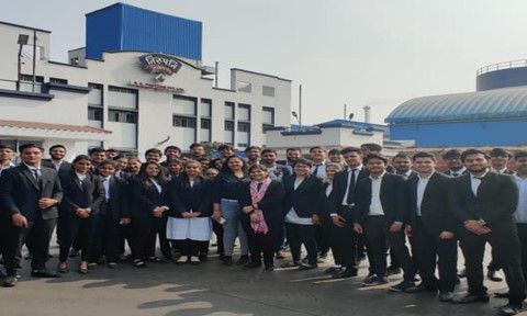 Odoo - Sample 3 for three columns