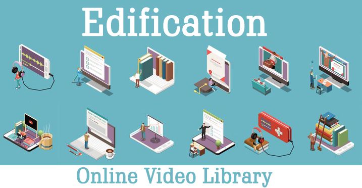 Odoo CMS - a big picture