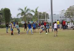 Odoo - Sample 1 for three columns